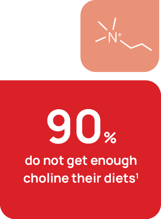 What is Choline