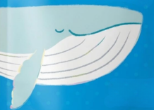 Whale logo