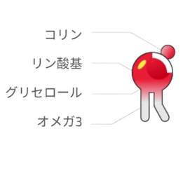 Phospholipid---contents-1 JP